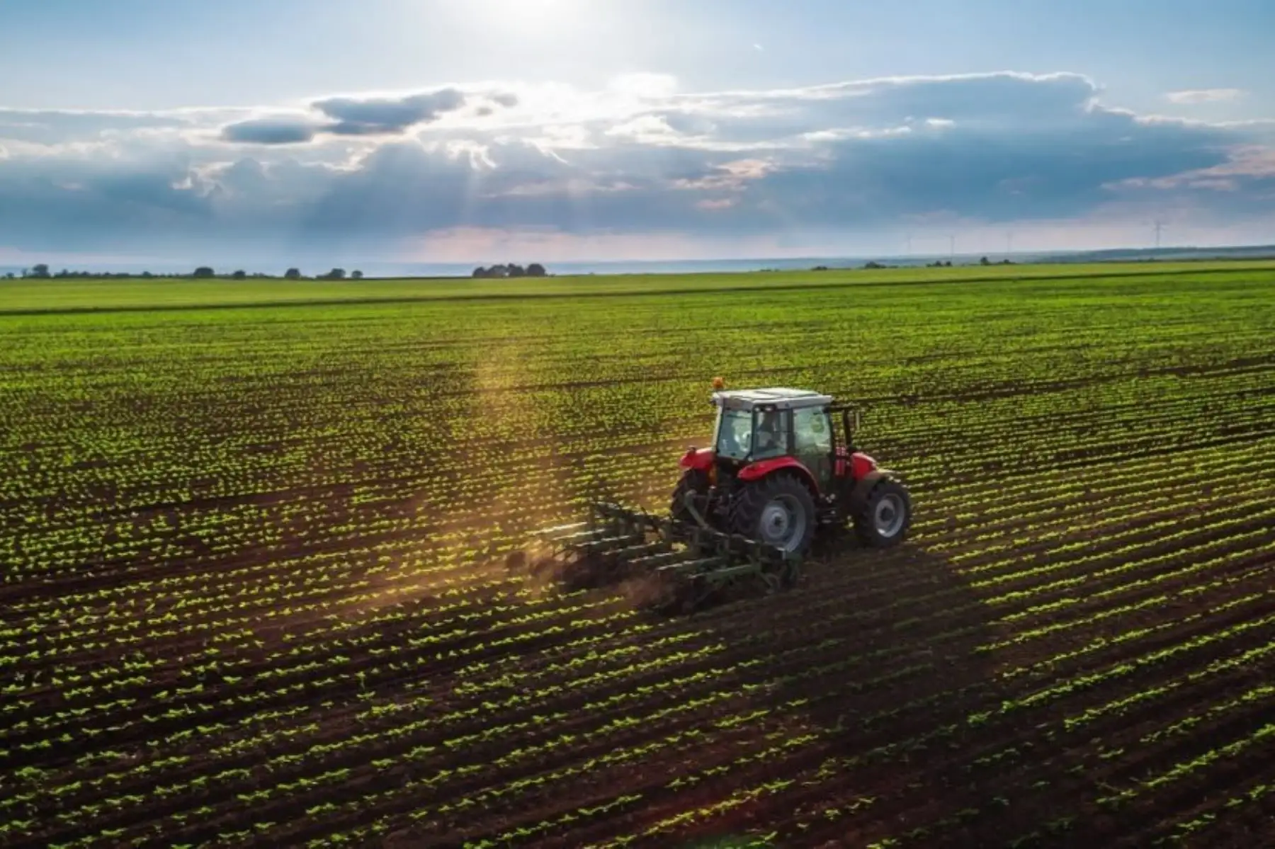Perú aprueba documento Marco Orientador de Cultivos para la Campaña Agrícola 2026/2027