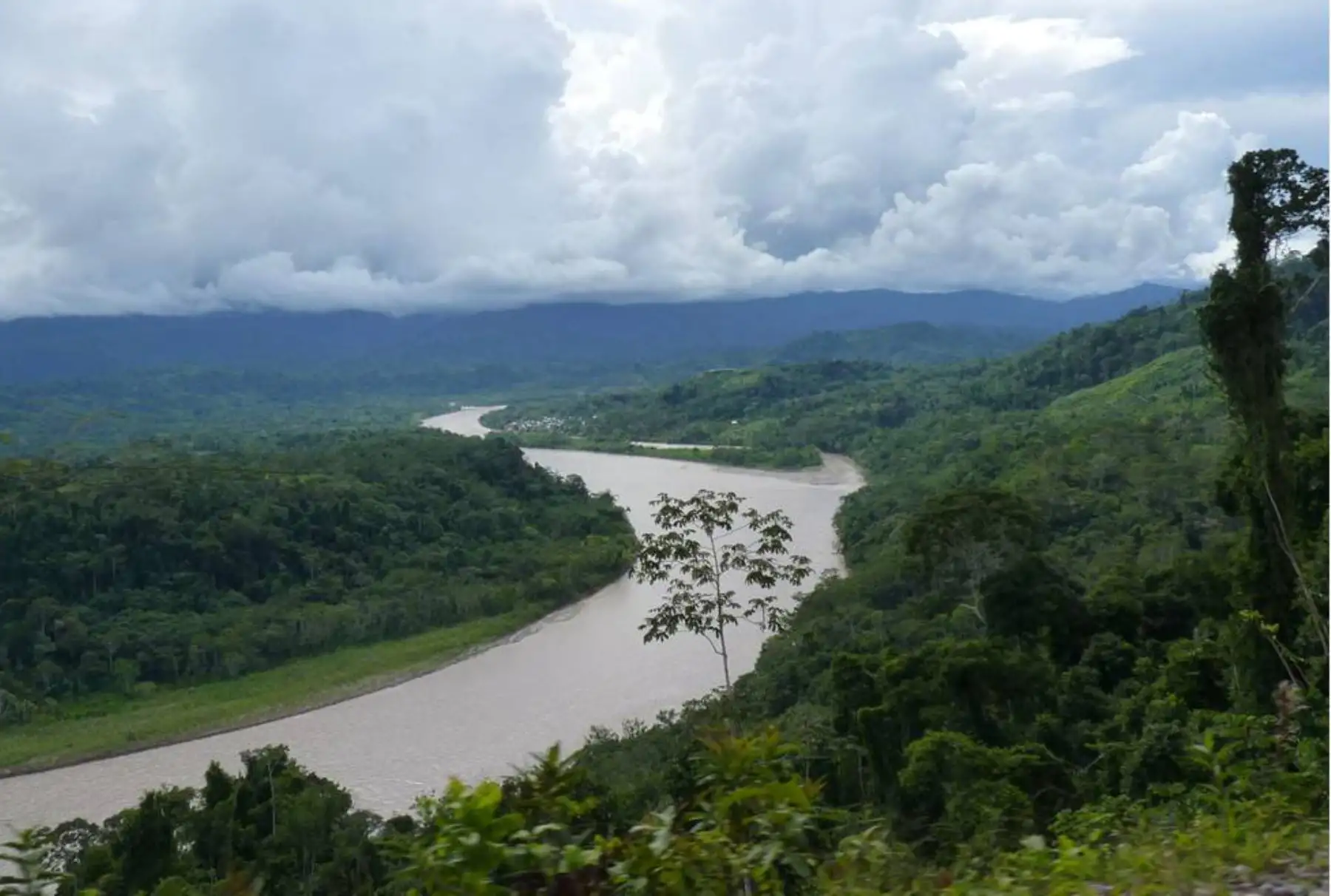 Junín: reconocen Área de Conservación Privada "Nueva Vida" en Satipo para proteger bosque