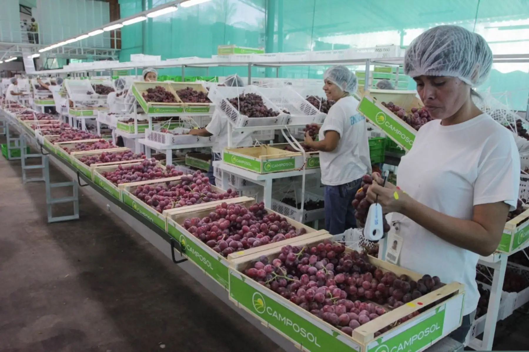 Minería, agroexportación, puertos y fintech abren oportunidades de negocio en Perú