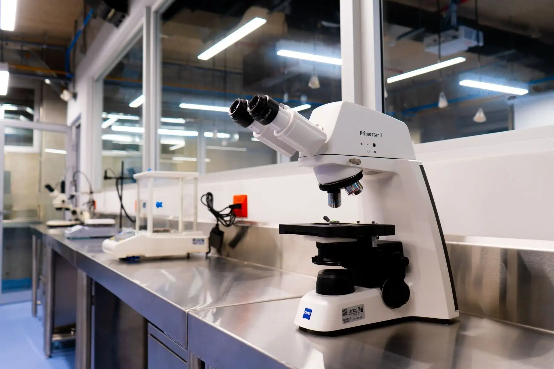 Innovación: las tendencias que todo emprendimiento debería aplicar este año