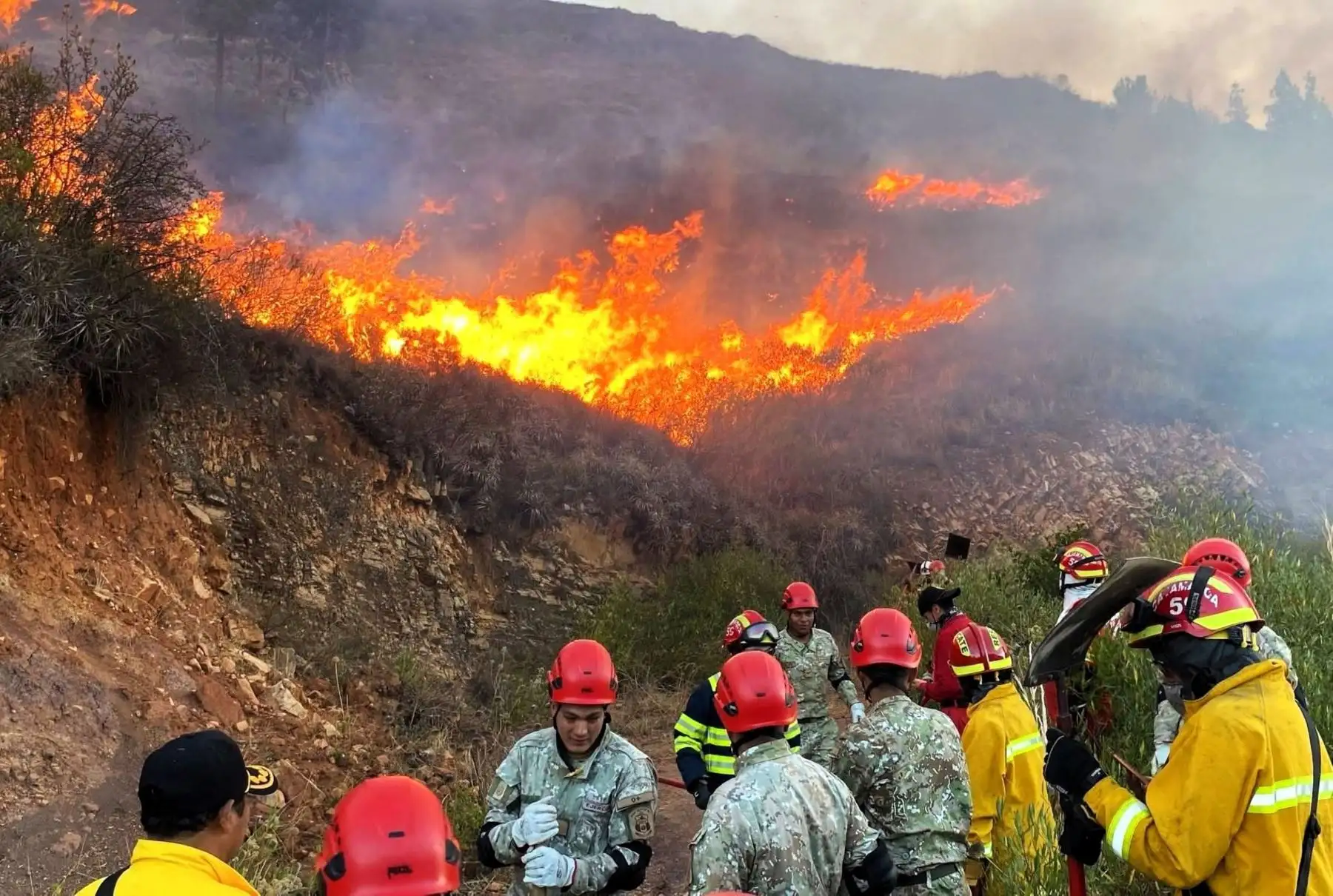 Simulacro Multipeligro: Cajamarca ensayará incendios forestales, inundaciones y sismos