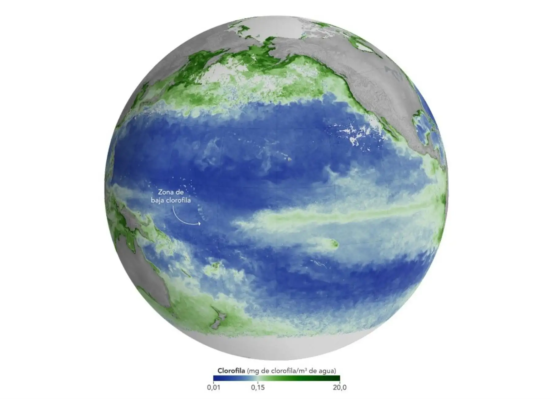 ¿Cómo impacta El Niño en vida marina del océano Pacífico? Esto revela estudio de la NASA