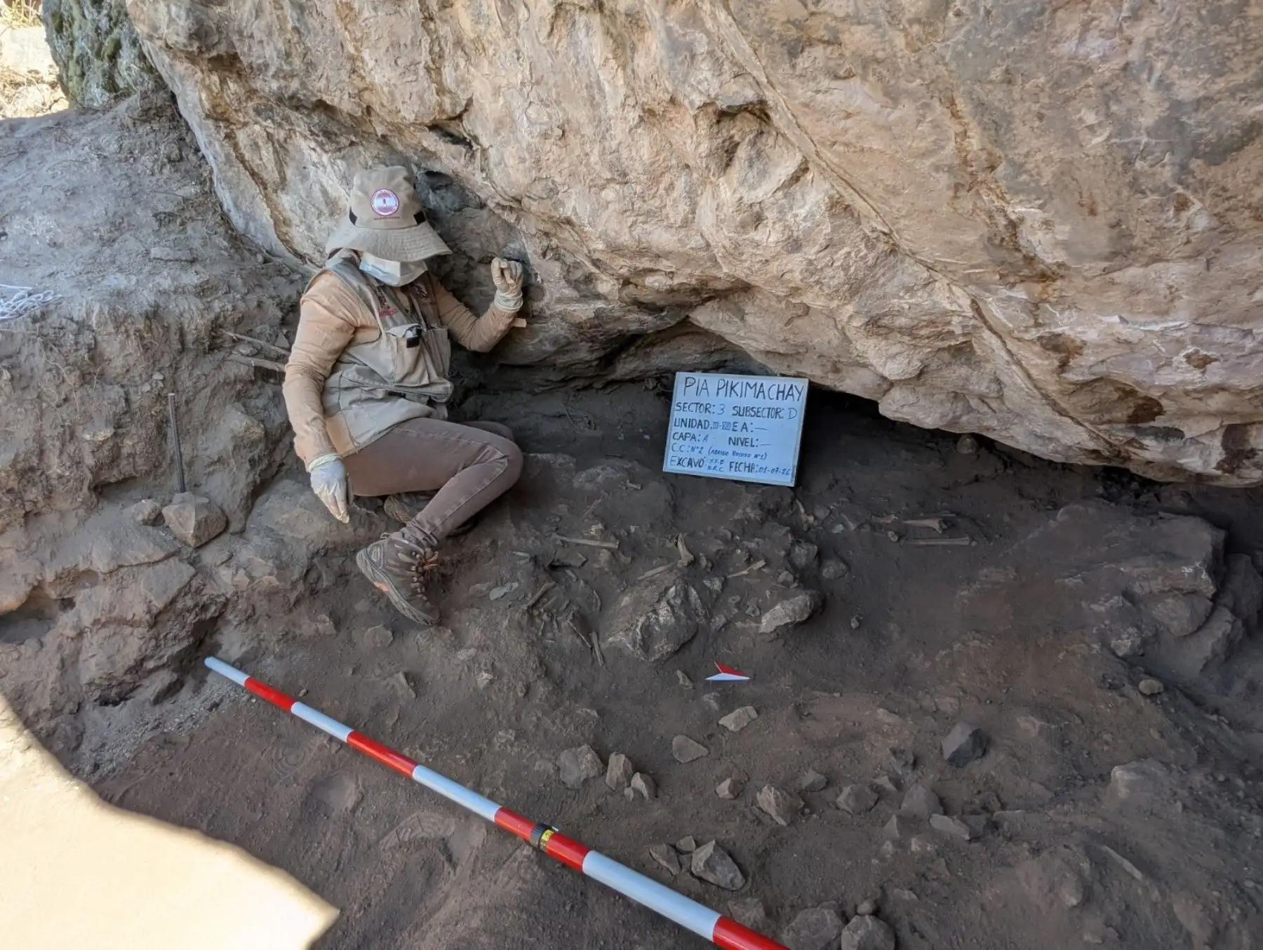 Pikimachay: evidencias halladas en nueva investigación confirmarían antigüedad del sitio