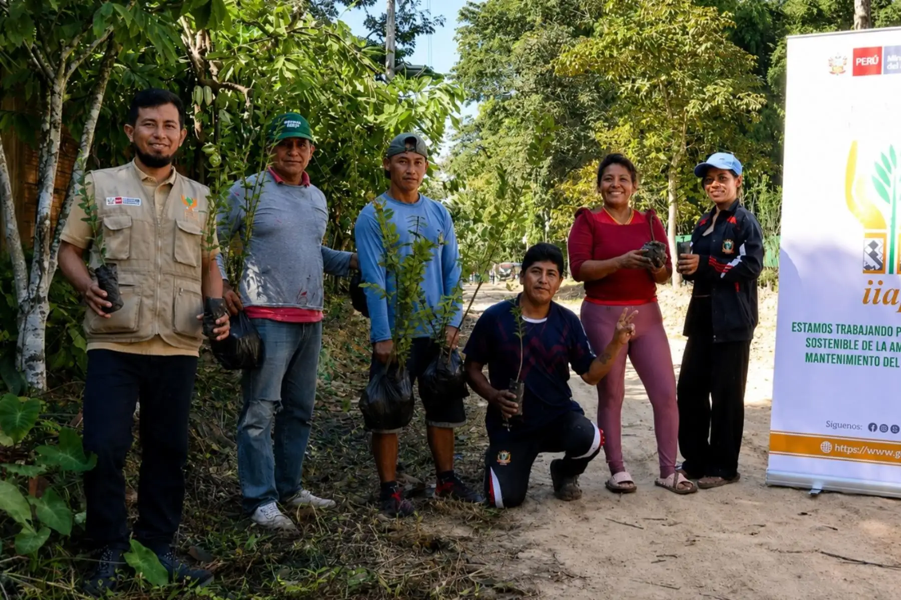 Ucayali: 425 familias fortalecen sus parcelas agroforestales con apoyo del IIAP