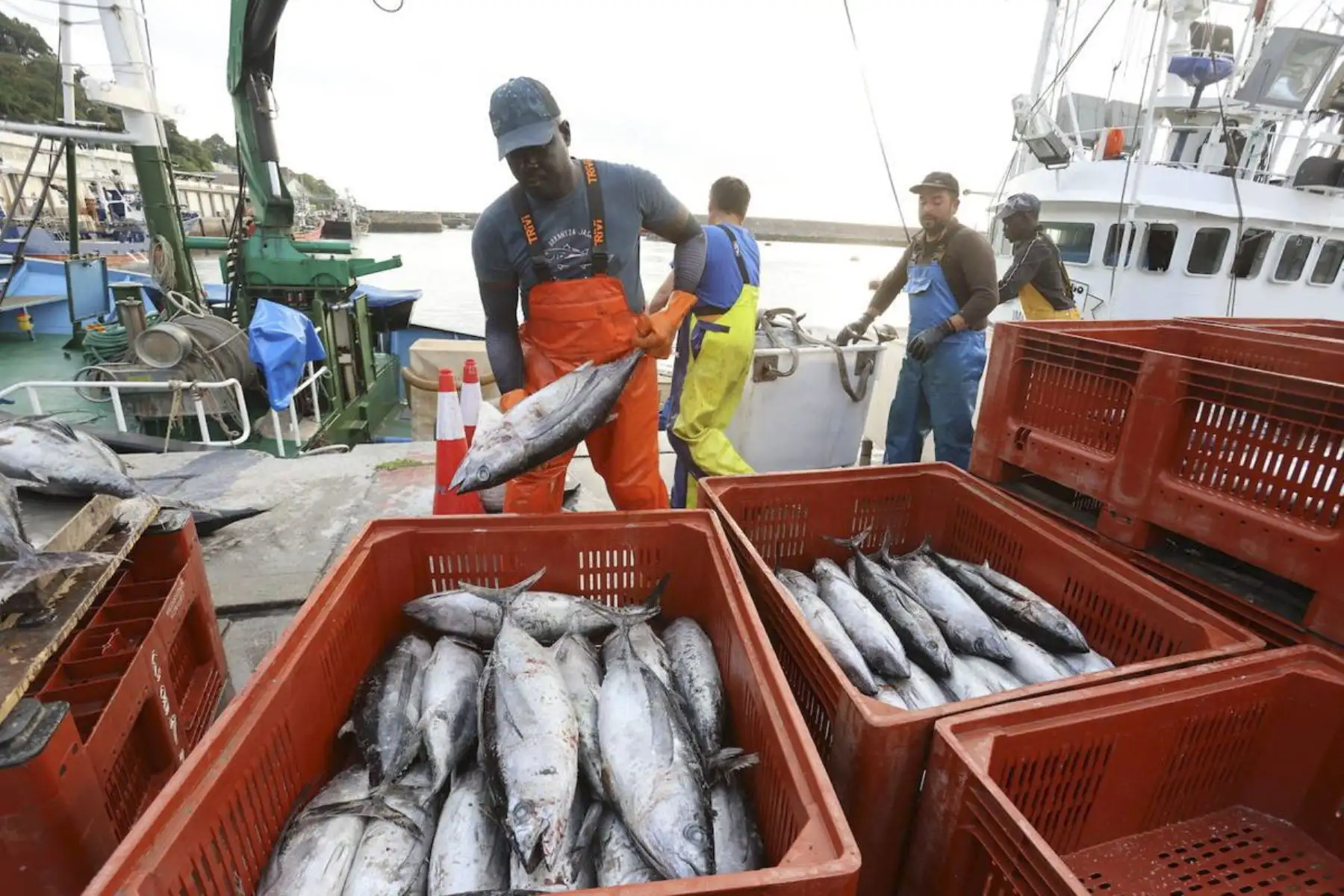 Produce fija en 118 200 toneladas el límite de captura del bonito para 2026